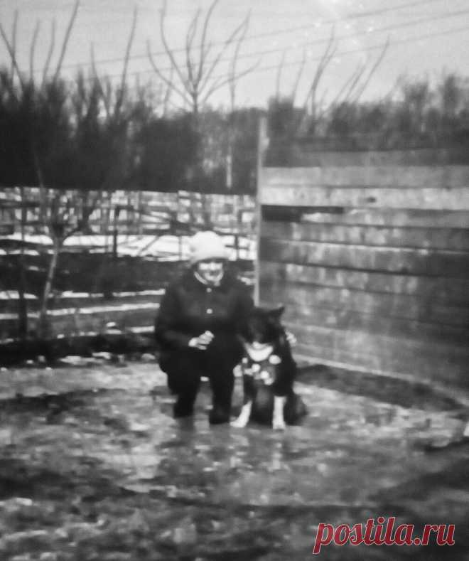 Пересматриваю старые фото. Как я стала собаколюбом | Своих не едим. | Яндекс Дзен