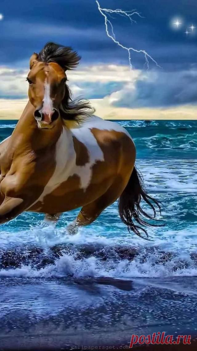 a4bd3019065d5c28a0d29f7f991a1fc7.jpg (640×1136)