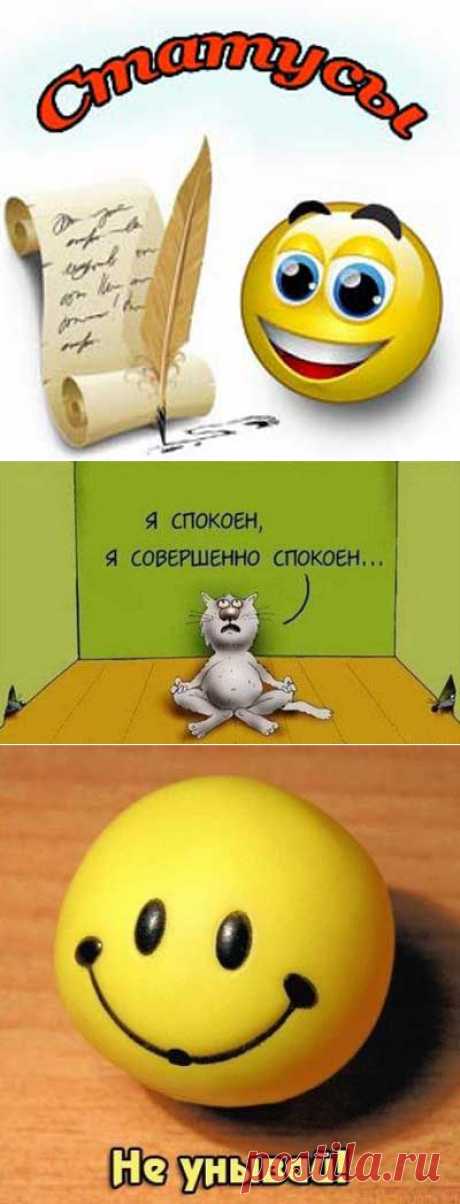 СТАТУСЫ С ЮМОРОМ =)