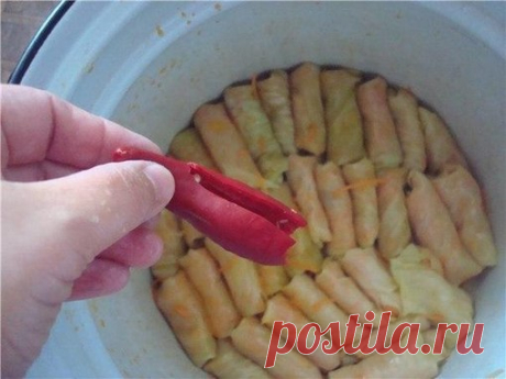 Голубцы закусочные - Простые рецепты Овкусе.ру