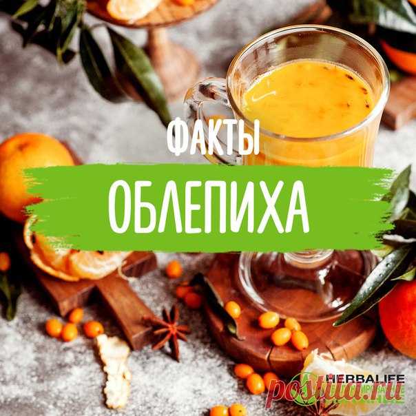 НЕСКОЛЬКО ФАКТОВ ОБ ОБЛЕПИХЕ