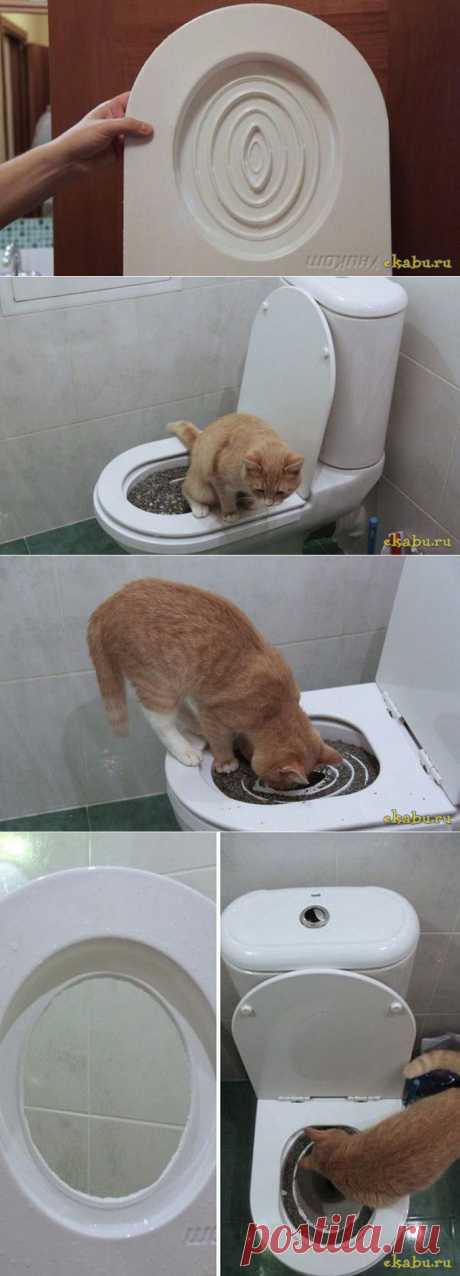 Приучение котейки к унитазу