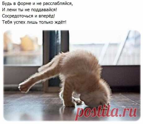 Онлайн Академия Питания - это интернет- проект, который объединяет русскоязычных участников со всего мира. Независимо от того , где Вы живете, Вы можете посещать наши занятия . Что для этого нужно? Компьютер, интернет и огромное желание изменить себя! В течение трех месяцев наши ученики разбираются в питании, стройнеют, молодеют. Академия Питания за 12 занятий изучает основы сбалансированного питания, что является основой для правильного и планомерного снижения веса и удержания его в норме.