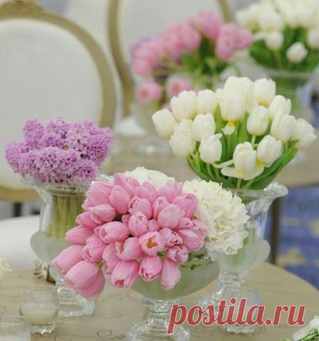 (52) Зина Таирова