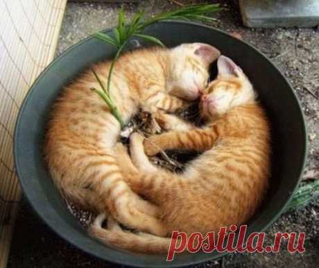 Отдых на природе...