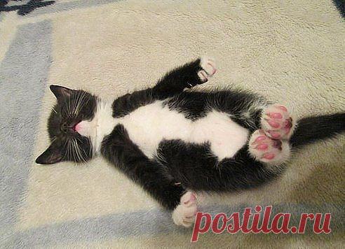 (52) ОдноклассникиЧТО УПАЛО, ТО УСТАЛО.