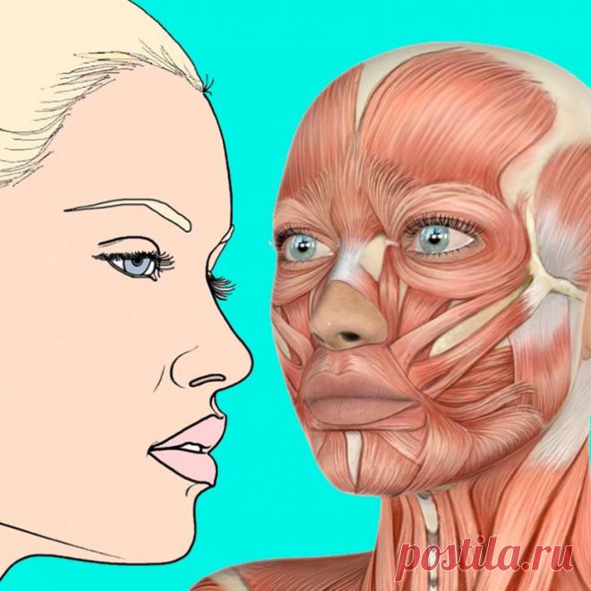 Техника, которая устранит отёки и провисание кожи / Все для женщины