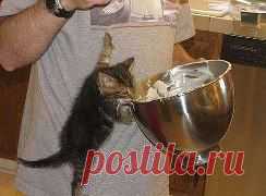 Одноклассники