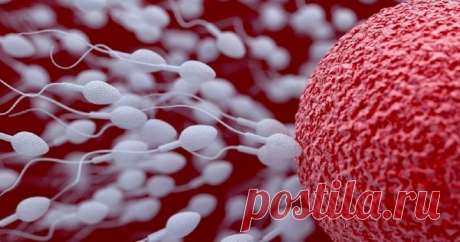 7 признаков здоровой спермы: вот как можно уберечь мужскую плодовитость!