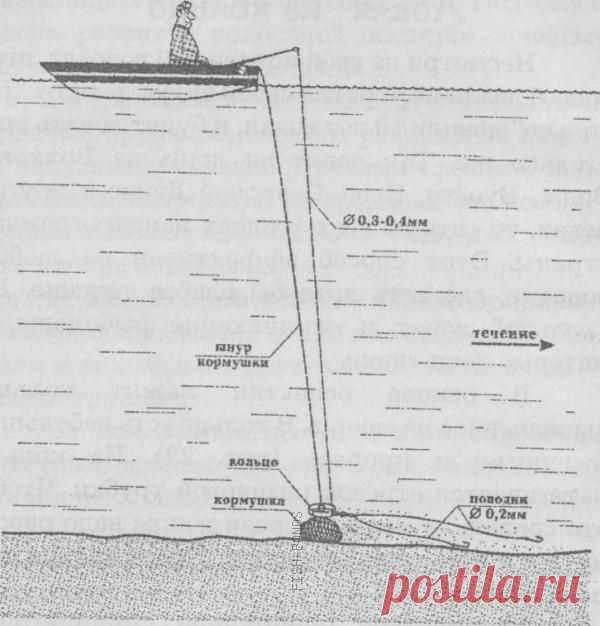 ЛОВЛЯ РЫБЫ НА КОЛЬЦО