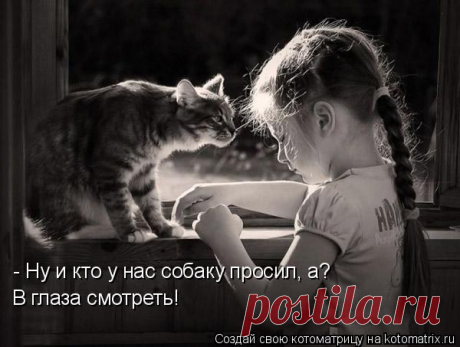 Котоматрица: Лучшие за всё время