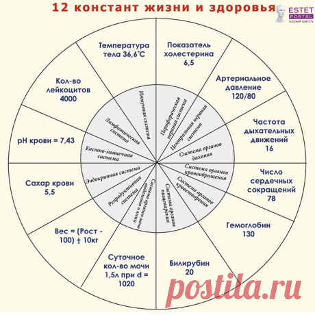 12 констант здоровья которые необходимо знать