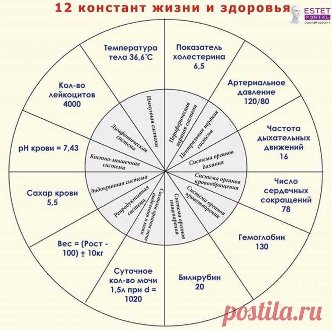 12 констант здоровья которые необходимо знать