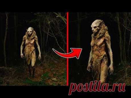 Disturbing Footage : Trail Camera Footage That Shocked Everyone!