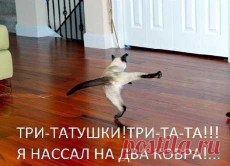 Сергей Перминов - Киров, Кировская обл., Россия на Мой Мир@Mail.ru