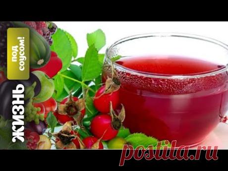 Жизнь под соусом: кто шиповник пьет – сто лет живет!