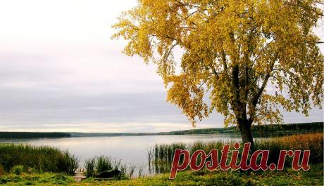 ФОТОМАСТЕРСКАЯ ПРИРОДЫ
Евгений Кожевников