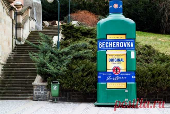 Напитки из разных стран, которые помогут согреться — Все о туризме и отдыхе