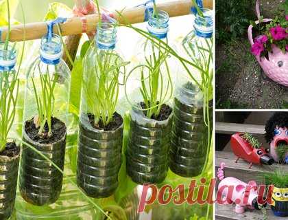 Просмотр записи