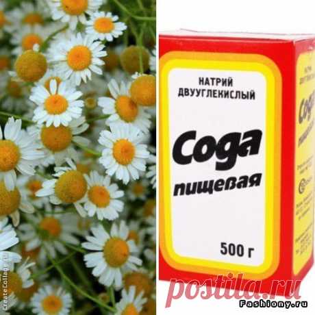 Букет летних проблем и простые способы борьбы с ними