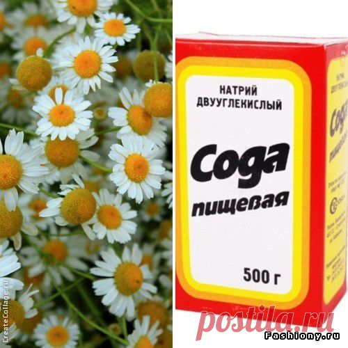 Букет летних проблем и простые способы борьбы с ними