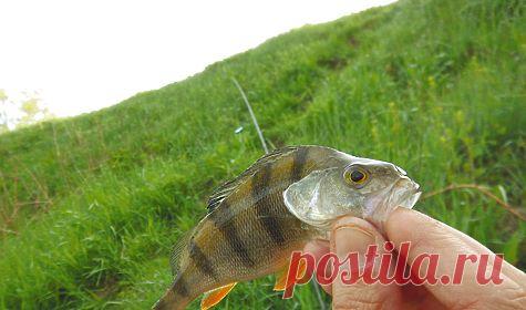 Поплавок для течения