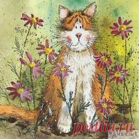 Алекс Кларк