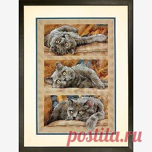 Dimensions 35301 Max the Cat (вышивание крестом, схема)