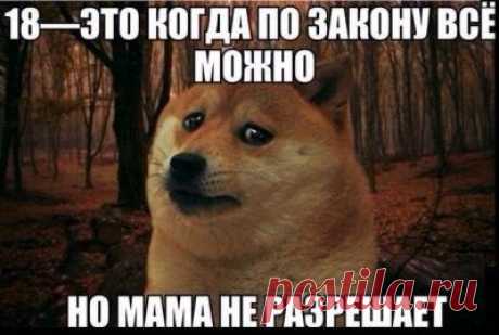 Смешные картинки, мемы и лучшие шутки Рунета.-Новости Дня
