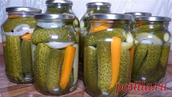 Самые вкусные и хрустящие огурцы на зиму