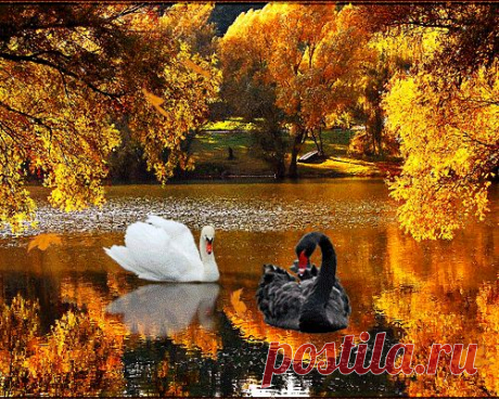 Музыка для души от Сергея Чекалина