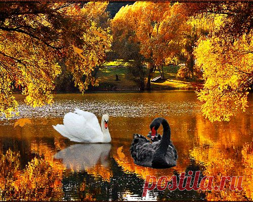 Музыка для души от Сергея Чекалина