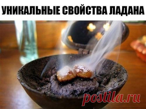 Уникальные свойства ладана. Уникальные свойства ладана, о которых мало кто знает. Новейшие исследования, поразившие медиков! Аромат ладана лечит душевную боль, дарит человеку чувство спокойствия и защищенности ...