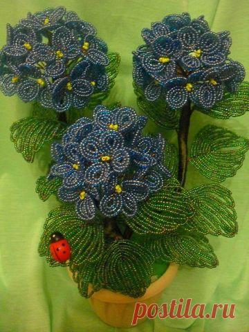 Мелодия бисера.
Екатерина Прибытко(Шурцова)