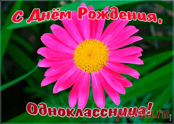 Картинка с днем рождения однокласснице с анимацией приятно удивит и порадует именинницу. Каталог прикольных открыток с днем рождения для одноклассницы, отправляйте в социальных сетях бесплатно.