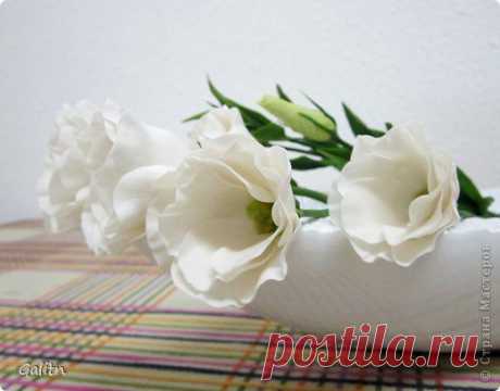 ФОАМИРАН ❀ МАСТЕР-КЛАССЫ ❀ МОДНОЕ ХОББИ