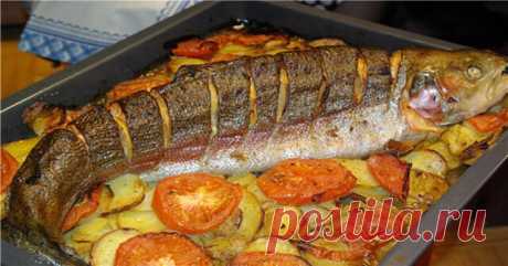 Рыба, запеченная в духовке: 10 вкусных рецептов