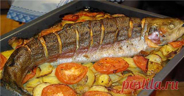 Рыба, запеченная в духовке: 10 вкусных рецептов