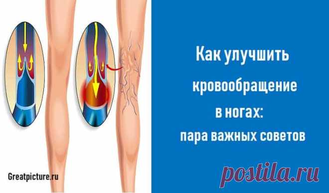 Как улучшить кровообращение в ногах: пара важных советов Как улучшить кровообращение в ногах: пара важных советов.От качества кровообращения в ногах напрямую зависит их здоровье и красота, ведь