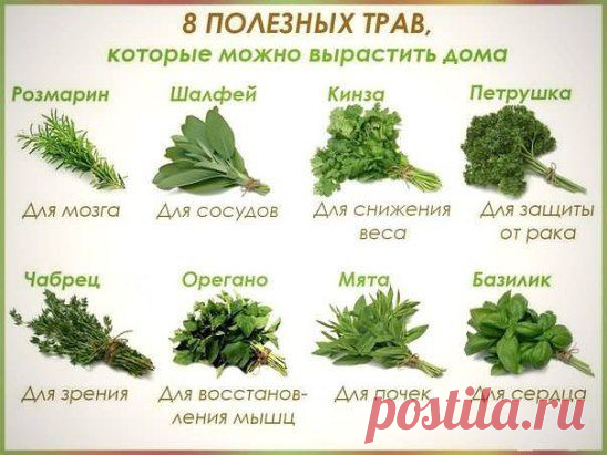 (1) Одноклассники