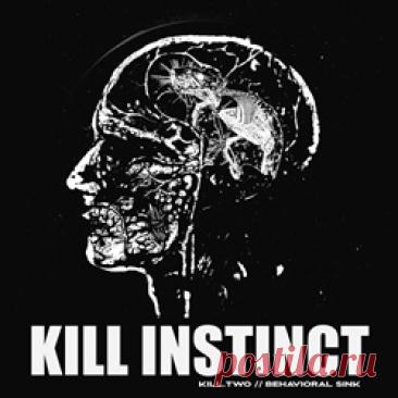Kill Instinct - Kill.Two // Behavioral Sink (2026) 320kbps / FLAC