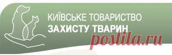 Как часто кот должен ходить в туалет по большому?