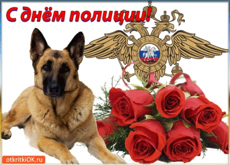 С днём полиции! Желаю удачи,
Здоровья, комфорта, приятных вещей.
Пусть жизнь становится ярче,
Приносит почаще благих новостей.