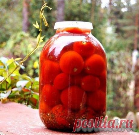 Консервирование помидоров холодным способом (рецепт с фото) | RUtxt.ru