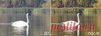 Как улучшить качество фото всего в один клик.