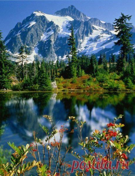 Фотографии на стене сообщества | 31 368 фотографий