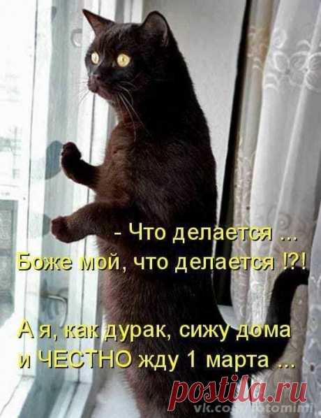 Мой Мир@Mail.Ru