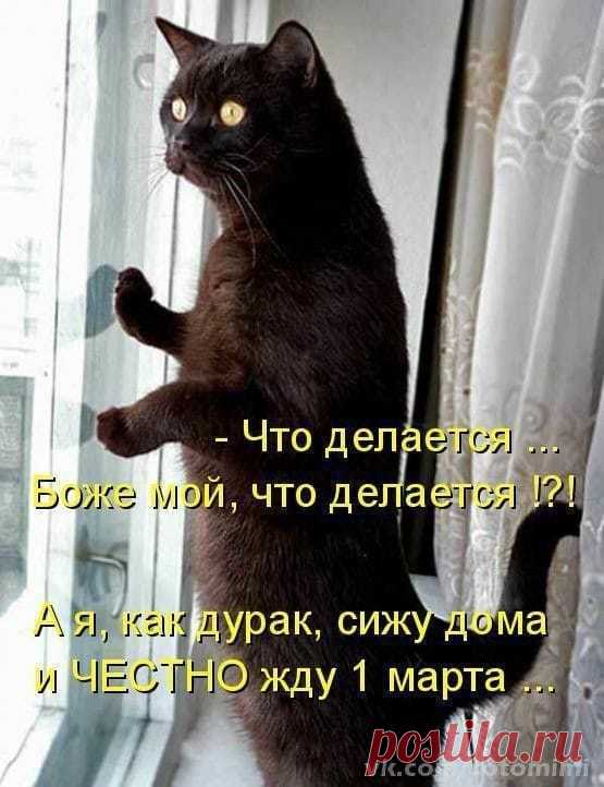 Мой Мир@Mail.Ru