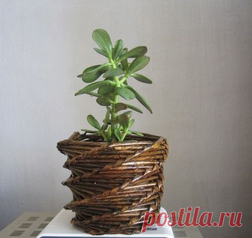 ​Спиральное плетение из бумажных трубочек: как делать
