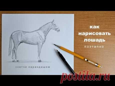 как нарисовать лошадь поэтапно